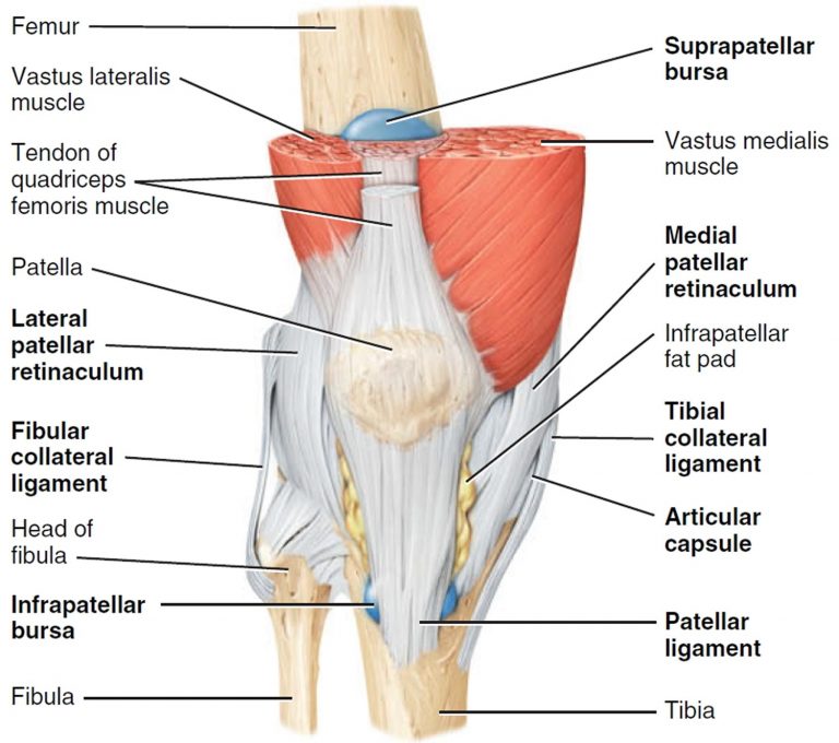 كيس الغضروف المفصلي ]]]]]]]]]] Knee meniscus cyst الدكتور مازن كردية